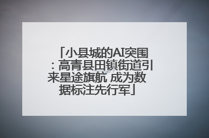 小县城的AI突围：高青县田镇街道引来星途旗航 成为数据标注先行军